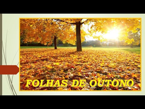 Folhas De Outono video