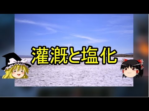 湖の忍び寄る塩類化