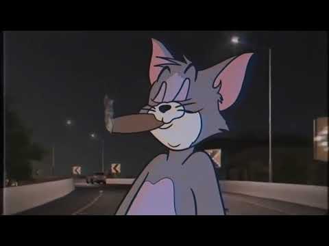 Robert Cristian x Elemer x ALIS - This Is The Life | Official Single