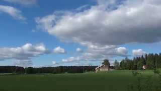 preview picture of video '20140601163201 Numenius arquata Mankala Finland   MM'