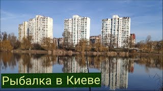 Где ловить щуку на днепре киев