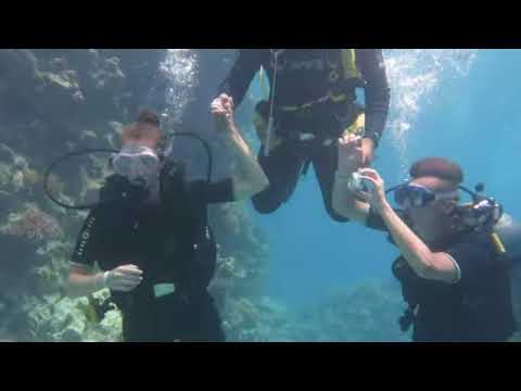 First dive into the Red Sea