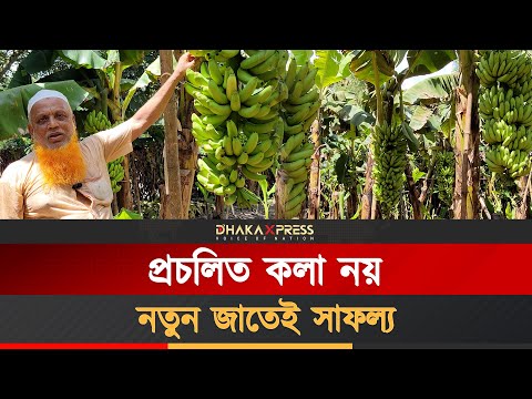 তারেক রহমানের নেতৃত্বে ভবিষ্যতের বাংলাদেশ গড়ার রূপরেখা বিএনপির