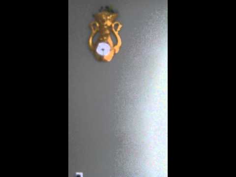 Why my name is chrysaor