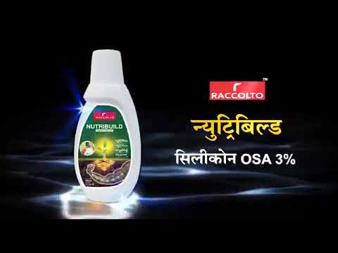 Nutribuild silicon(200 ml), vegetables