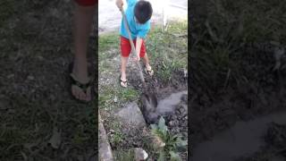 When you work for me