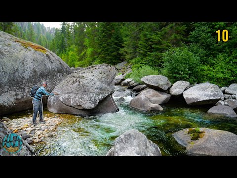 Fly Fishing a Week for Bull Trout - The Ghosts of Idaho (Idaho bulls pt 1)