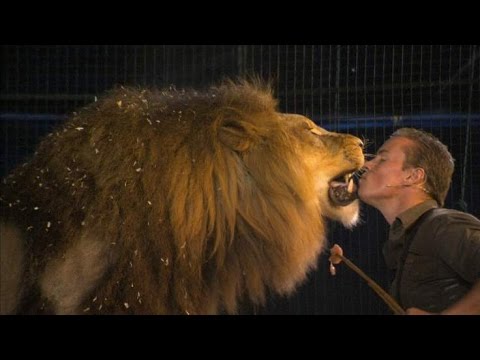 Interview: Britain's Last Lion Tamer Says There's No Cruelty Involved