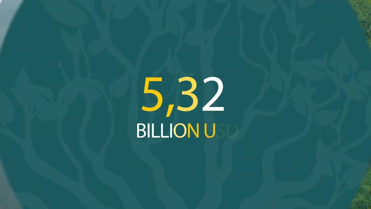 FIRST ROUND TABLE OF DONORS OF THE CONGO BASIN CLIMATE COMMISSION