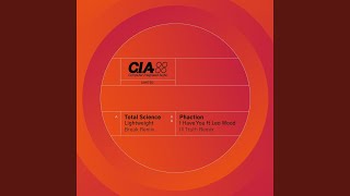 I Have You (Ill Truth Remix)