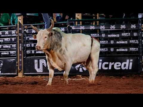 RODEIO da EXPOUMUARAMA 2026 - MELHORES TOUROS | TERÇA FEIRA
