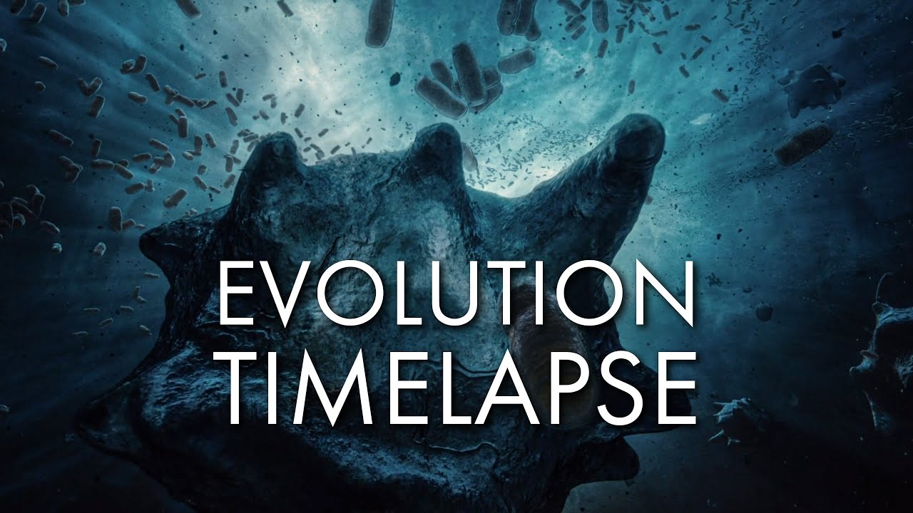 The History of Life On Earth - Cinematic Timelapse of Evolution