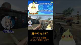 【COD：BO6】ィヤッホー