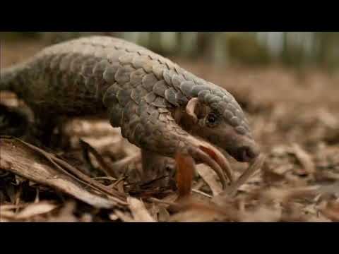 Big little Journeys Trailer