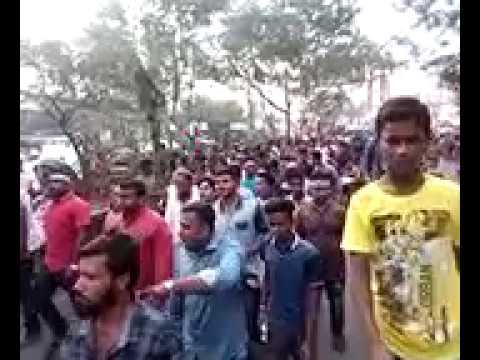 জেলা যুবলীগের বর্ণাঢ্য র‌্যালি