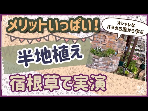 湿気の多い場所に植える
