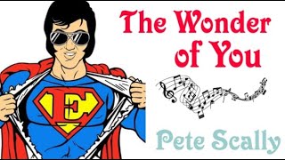 Pete Scally   The Wonder of You
