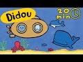 Didou Dessine Moi Les Animaux Marins Compilation Dessins Animés Pour Les Enfants
