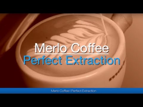 Extração Perfeita com Café Merlo