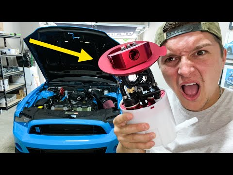 IT'S FINALLY HAPPENING!! *800HP CLUB??*
