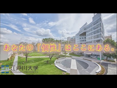 学生制作作品『個性がぶつかる、個性でつながる、江戸川大学』