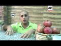 Popularity Of Pomegranate Juices Soars In Egypt