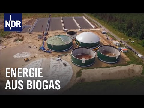 Wie geht das? Biogas - Von der Gülle ins Netz | Die Nordreportage | NDR