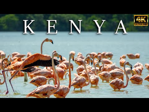 FLYING OVER KENYA 4K UHD   Relaxing Music Along With Beautiful Nature Videos 4K Video Ultra HD