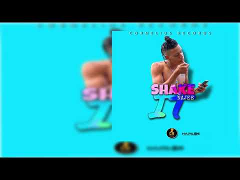 Najee - Shake It (Official Audio)