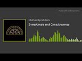 The Hard Problem Ep 51: Synesthesia and Consciousness