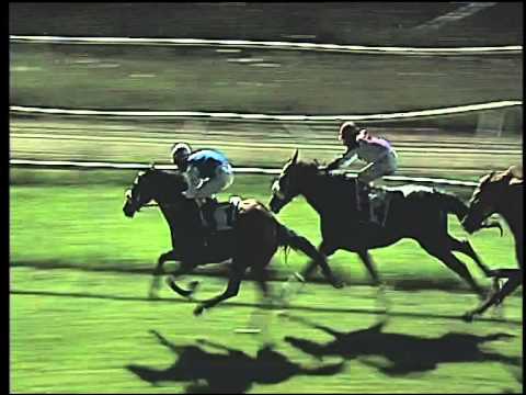 Galoppo 11/07/2015 - 2° corsa