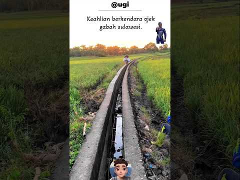 Ojek gabah sulawesi