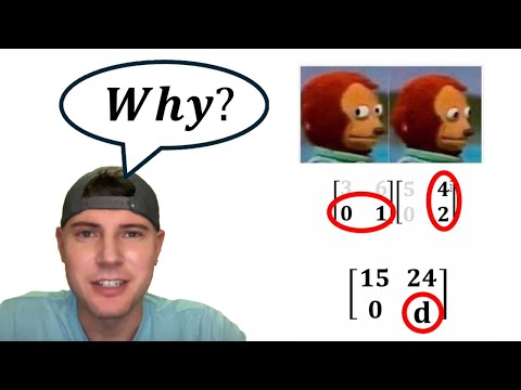 Matrix Multiplication Real World Example