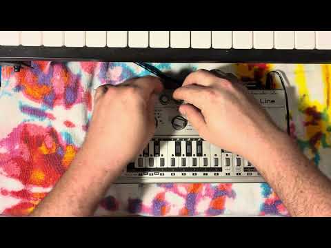 Roland TB-303 Bassline Synthesizer Module Vintage 🌚DEMO CLIP🌝 image 24