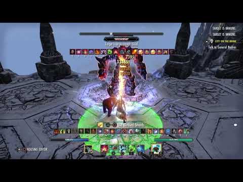 ESO - Magicka Warden DPS - 69K