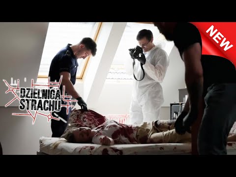 DZELNICA STRACHU - Sezon 07 Odcinek 2 |HIT!!! | NOWOŚĆ!! (Cały Odcinek)