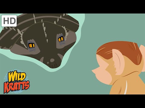 Creature Battles! | Every Creature Showdown Part 5 | Wild Kratts