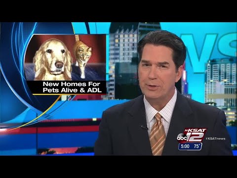 Video: Animal Defense League moves into Jolly Center; SA Pets Alive! moves into Petsmart Adoptio...