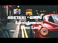 ODETARI GMFU W 6arelyhuman 1 Hour Loop