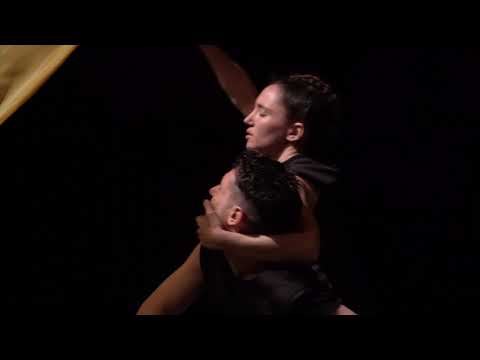 TRAILER  ARA! ARA! - Ginevra Panzetti & Enrico Ticconi