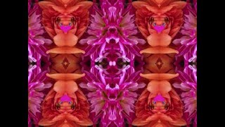 Eat My Dust (by Jerry Garcia and David Grisman in Squaw Valley, CA  in 1991)