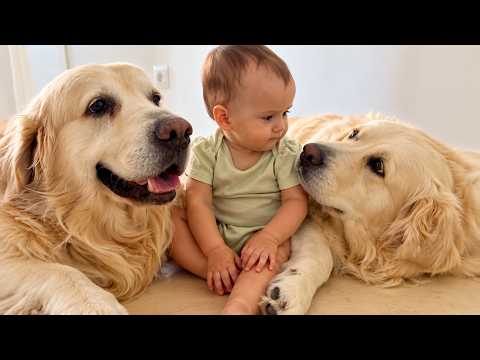YouTube 썸네일