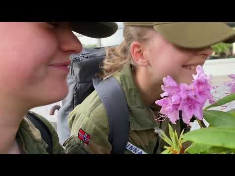 2404 tropp 4.2 madla