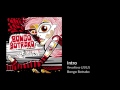 Bongo Botrako - Intro 