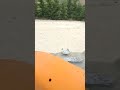 Reproduce el video