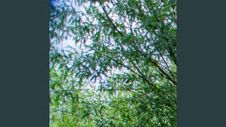 Download lagu Pabhet Di Antara Tawa dan Air Mata mp3