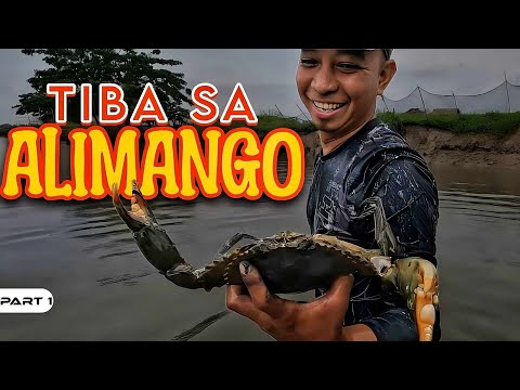 P1-Tiba sa Alimango - EP1060