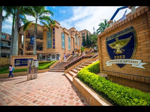 universidad de santander universidad de santander