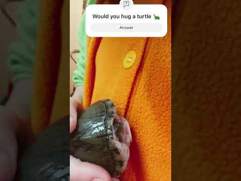 HUG A TURTLE