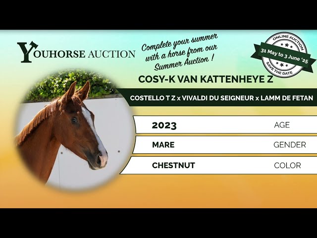 Cosy-K van Kattenheye Z